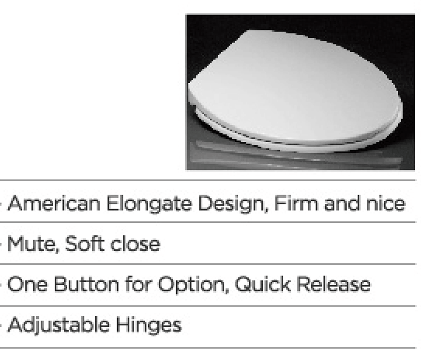 American Elongate Design BP0137Q3 