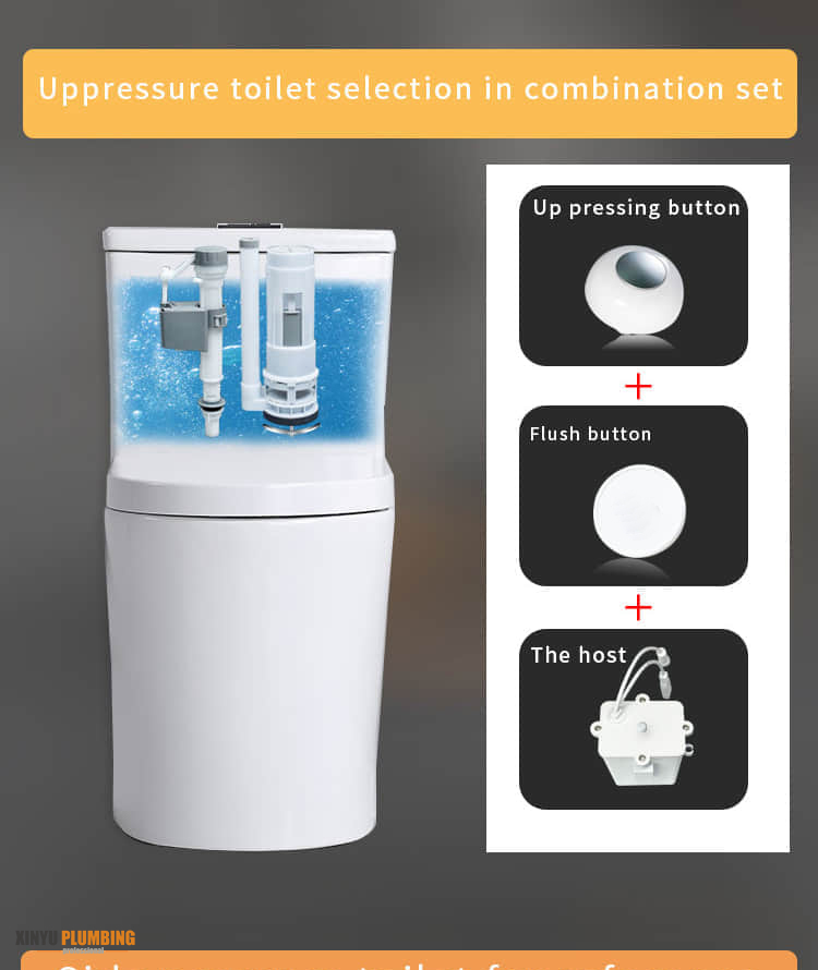 touchless toilet flush with Push Buttom QBA-W 